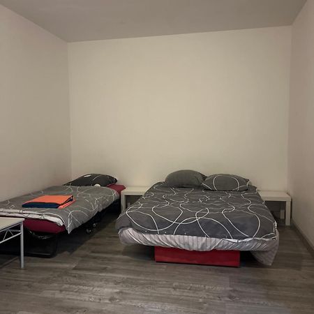 Logement Type Studio 1 Piece Proche Zenith ストラスブール エクステリア 写真