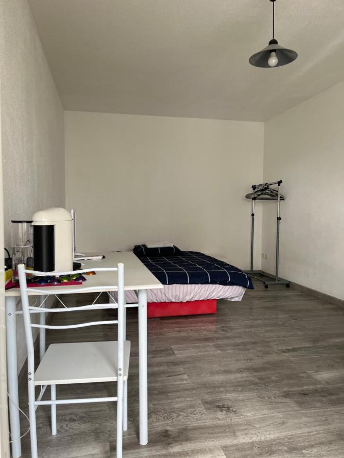 Logement Type Studio 1 Piece Proche Zenith ストラスブール エクステリア 写真