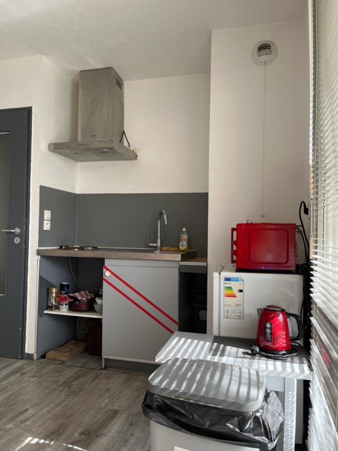 Logement Type Studio 1 Piece Proche Zenith ストラスブール エクステリア 写真